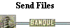  Send Files Now 